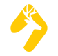 Client 11